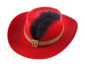 Шляпа фетр 6*7*31 см, с пером, красная