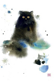 открытка Кот