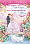 Плакат А2 С днем свадьбы!