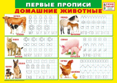 Плакат мини Первые прописи Домашние животные (10шт)