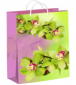 Пакет п/э 40х30см Орхидея на зелено-розовом