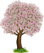 Плакат Весеннее дерево