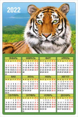 Календарь магнит`22 Амурский Тигр