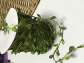 Шпагат зеленый с Зелеными листьями/КА