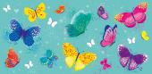 Бабочки (конверт для денег)