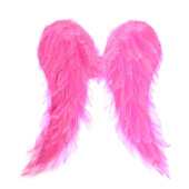 Крылья ангела перо Розовые 50х50