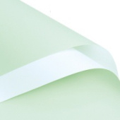 Пленка лист 58х58см двухсторонняя Зеленая белая (уп20)