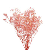 Украшение декор Гипсофила стабилизированная Розовый 110 гр +- 10 гр 1 упак Китай /новинка