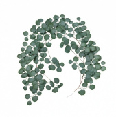 Украшение декор Листья Зелень Эвкалипта искусственная 170см