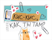 открытка мини Кис-кис как ты там (10шт)