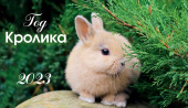 Календарь домик`23 Год кролика