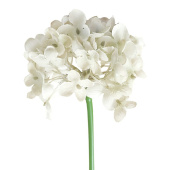 Цветы декор Гортензия искусственная из ткани Белый 265х11х11см 1шт Китай
