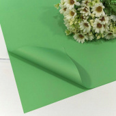 Пленка лист 60х60см матовая Корейская Зеленый уп20