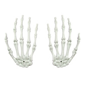Руки скелета Белые 15х8,5см (уп2)