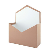 Конверт картонный Премиум Нежно-розовый 24х7х18см