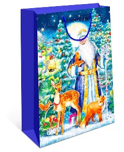 Пакет DE Дед Mороз 11,5х14,5х6см