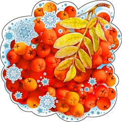 Украшение на скотче Рябина (10шт)