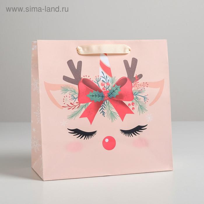 Пакет ламинированный Сказочного Года 22х22х11см