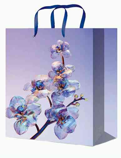 Пакет бумажный S 12х15 Стеклянные цветы