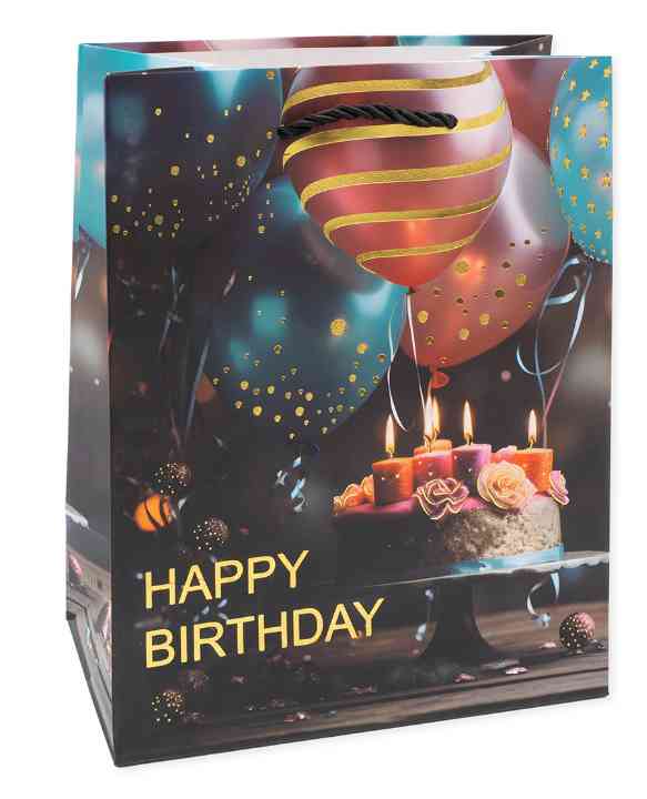 Пакет бумажный L 26х32см Фееричный день рождения Дизайн №2