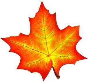 Украшение на скотче Кленовый лист 20х20см (10шт) ФДА