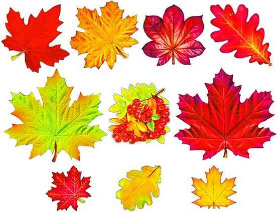 Украшение на скотче Листья осенние (уп10) ФДА