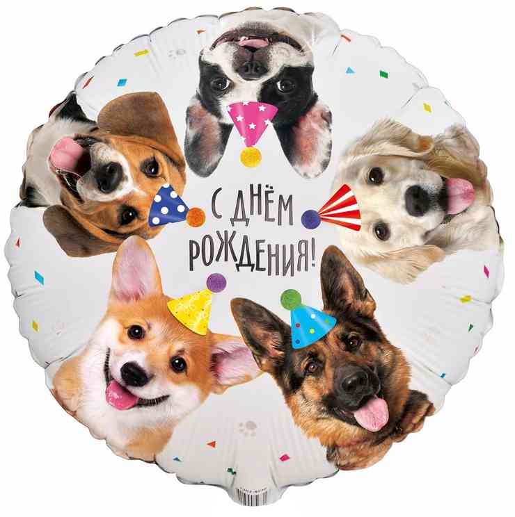 Шар фольга с рисунком 18"ВЗ круг Собачки фотографичные