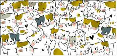 Конверт для денег Без надписи