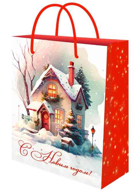 НГ Пакет бумажный M 18х23см Зимний домик