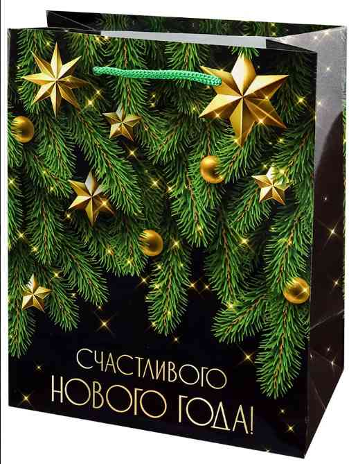 НГ Пакет бумажный M 18х23см Счастливый Новый год