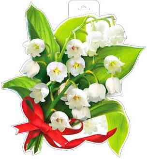 Плакат Ландыши