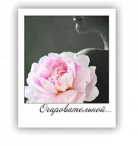 Открытка мини Очаровательной... (10шт)