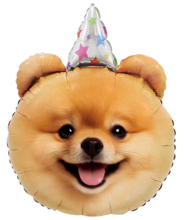 Шар фольга фигура Собачка в колпачке 28" 71смFL (упак)