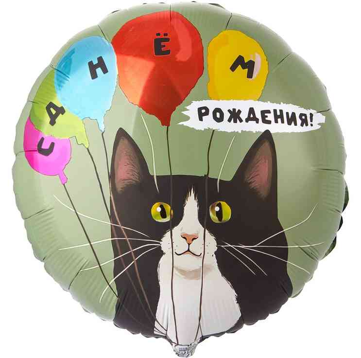 Шар фольга с рисунком 18" ВЗ круг ДР Кот и воздушные шары