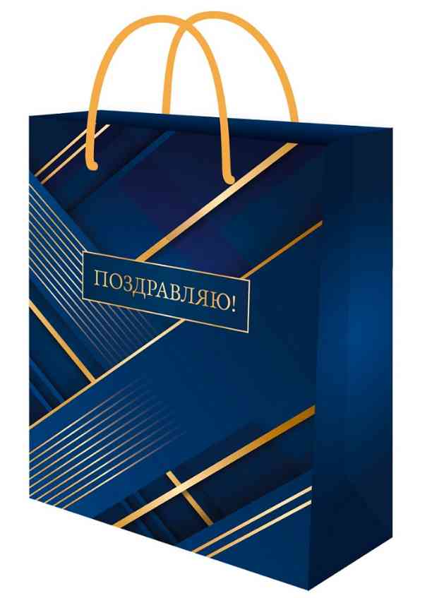 Пакет бумажный L 26х32см Геометрия на синем Миленд