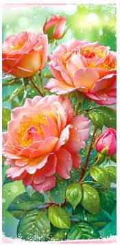 Конверт для денег Без надписи ФДА