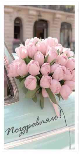 Конверт для денег Поздравляю ДБ