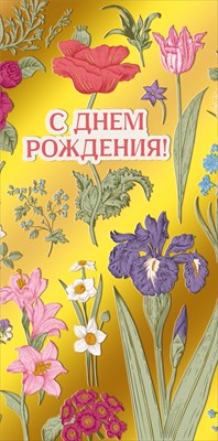 Конверт для денег С Днем рождения! МирП Конверт для денег С Днем рождения! МирП