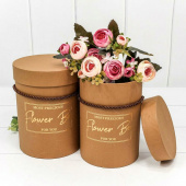 Коробка Цилиндр Flower Box Красный 14х14х18см (уп2) 7201221 2/Дон Бал Коробка Цилиндр Flower Box Красный 14х14х18см (уп2) 7201221 2/Дон Бал