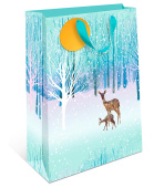 Пакет AB премиум 26х32х12см