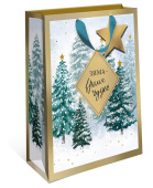 Пакет AB премиум 26х32х12см