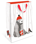 Пакет AB стандарт плюс 26х32х12см