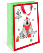 Пакет BC стандарт плюс 18х22,3х10см