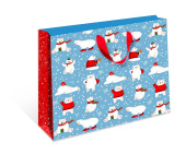 Пакет BC стандарт плюс 18х22,3х10см