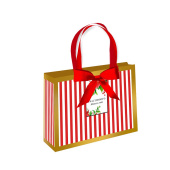 Пакет BC делюкс 23х18х10см