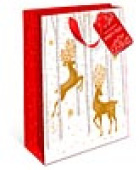 Пакет BC премиум 18х22,3х10см