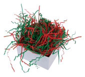 Наполнитель бумажный Зеленый Красный 50г