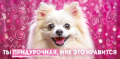 Конверт для денег Ты придурочная, мне это нравится