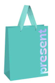 Пакет бумажный AB 26х32см Bright present MESHU