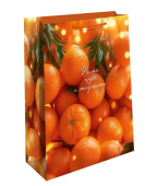 НГ Пакет бумажный BC 18х22см АртД